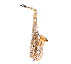 SAXOFONE ALTO - WASM 49