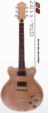 Guitarra GTA 1137