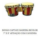 Bongo Bicolor