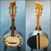 Banjo Luthier em Nevada e Azul Fosco Caixa de 9 Elétrico