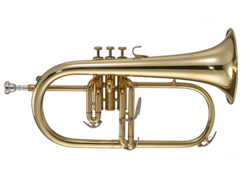 FLUGELHORN - WFHM 35